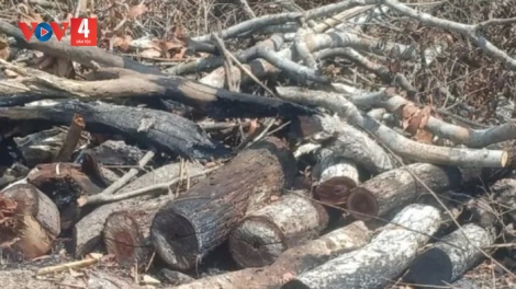 PA HƯ 4.400M2 CRÂNG, PÂN JƯIH ĐHỊ GIA LAI CRÊÊ TA TOỌM 162 ỨC ĐÒNG, K’DUA CHOH CỚ CRÂNG