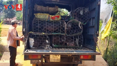 TÂY GIANG ĐOỌNG 55 P’NONG M’MA A’ỌC HA HỘI VIÊN NÔNG DÂN