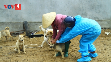 Thủ tướng yêu cầu Quảng Bình kiểm điểm trách nhiệm vì tỷ lệ tiêm phòng dại đạt thấp