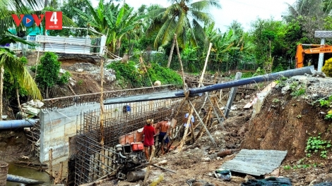 Vùng đất Chín sông “sống chung” với hạn mặn