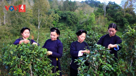 CHƯƠNG TRÌNH KHAY TÀY-NÙNG  (Thứ Bảy- Vằn xo ết bươn 6 pi 2024)