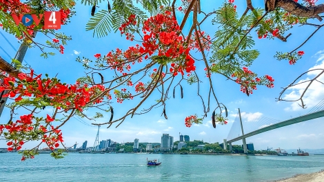 CHƯƠNG TRÌNH KHAY HENG TÀY-NÙNG (Thứ Ba- Vằn 28/5/2024)
