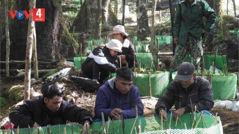 KON TUM PA DƯR K’HA RIÊNG CR’NOỌ BH’RỢ BHRỢ TR’XĂL CR’NOỌ PR’CHĂP, CƠNH BHRỢ ÂNG ĐHANUÔR ACOON COH