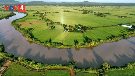 Đồng xanh, mùa vàng ở nơi giao duyên giữa sông sâu và núi lửa