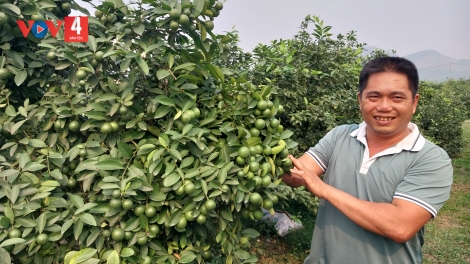 TUYÊN QUANG: CHAY CÓ MÁC CHENG SLÍ SLÌ PỀN CẦN CHÀU MÌ