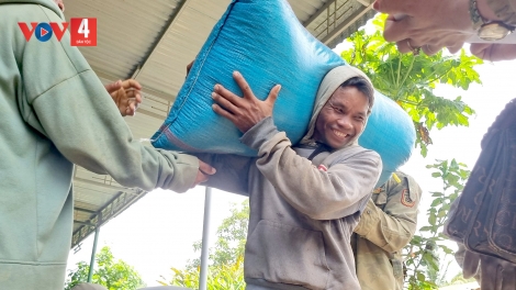 Niềm vui  “mùa vàng” trên cao nguyên Đắk Lắk