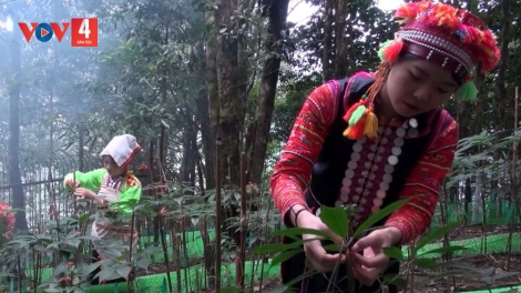 SÂM LAI CHÂU PANG HẨƯ PỈ NOỌNG CẦN LA HỦ TẢ KHỎ