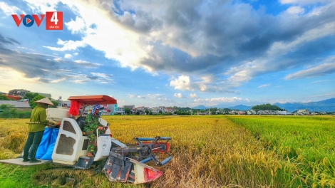 ĐĂM CHAY SLÂƯ ĐÂY, HÂNG RỲ DÚ SLẢNH KHAU PÙ ĐIỆN BIÊN