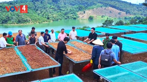 Đắk Nông tăng trưởng đứng thứ 2 khu vực Tây Nguyên