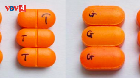 BỘ Y TẾ MOON PA RƠỚT OOY ZƠ NƯƠU KHÁNG SINH G’LỚC N’LEH COH THỊ TRƯỜNG