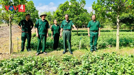 Phong trào "Cựu chiến binh gương mẫu" ở Gia Lai: Lan tỏa tình yêu lao động