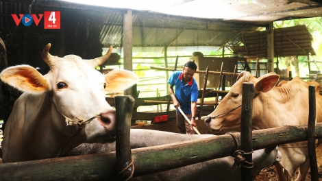Gặp những thương binh người Khmer vươn lên trên mặt trận sản xuất