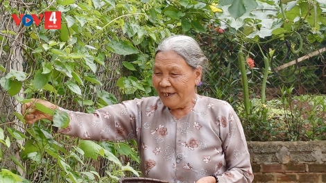ĐỢ TA LA ĐƠN “ZƯỚC GÚH ĐẮH ĐHA RỨT” CÓH ĐẮK LẮK