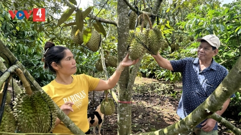 ĐỢ ĐẢNG VIÊN MANỨIH Ê ĐÊ K’ĐƠƠNG A’CỌ DƯR ZI LẤH ĐHA RỨT