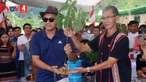 TR’BÉCH G’LĂNG CƠNH TY ĐANH ÂNG ĐHANUÔR OOY BH’RỢ ĐƯƠI DUA, CHOH LÂNG BHRỢ SÂM NGỌC LINH VÊY TA MOON C’KIR VĂN HOÁ PHI VẬT THỂ K’TIẾC K’RUUNG