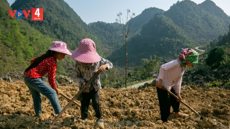 TỞI SLỔNG CÚA BẠI CẦN MJỀ XẰNG CẢI THIỂNG DÚ HOẸN HÀ QUẢNG, SLẢNH CAO BẰNG