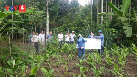  T’BIL LƠI ĐHARỰT ĐƯƠI TƠỢ BH’RỢ BHƯƠN CHR’NOH