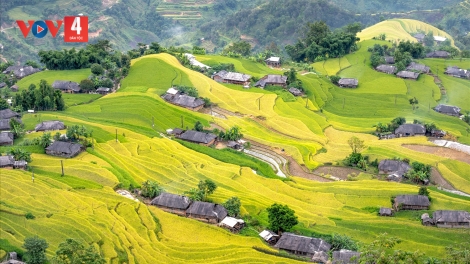 Dừng tổ chức Tuần văn hóa du lịch “Qua miền di sản ruộng bậc thang Hoàng Su Phì” năm 2024