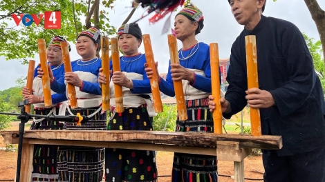 Hát trong lễ cưới người Thái Thanh Hóa
