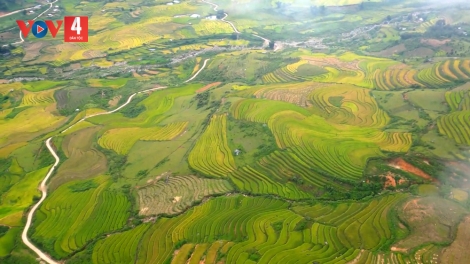 TÀI SLUNG TỞI SLỔNG HẨƯ PỈ NOỌNG DÂN TỘC NỌI CẦN DÚ HOẸN PHÚ LƯƠNG, SLẢNH THÁI NGUYÊN