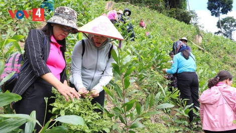 PÂN ĐIL TÂY GIANG HỌC TẬP BH’RỢ CH’CHOH B’BĂN ĐHỊ ĐÔNG GIANG