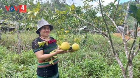 ĐÔNG GIANG: GIẢI NGÂN LÂH 1,6 TỶ ĐỒNG ZOOI PA DƯR KINH TẾ BHƯƠN