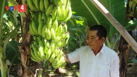 KHÁNH HÒA: ĐHANUÔR RAGLAY CHOH PRÍ BƠƠN BH’NƠƠN DAL