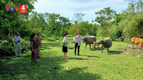 XA NAY T’BIL LƠI ĐHARỰT COH DA DING K’COONG