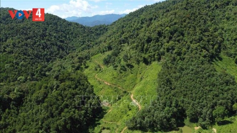 BẮC TRUNG BỘ VÊY 105 R’BHÂU HA CRÂNG VÊY TA ĐOỌNG CHỨNG CHỈ K’ĐHƠỢNG ZƯ CRÂNG NHÂM MÂNG (FSC)