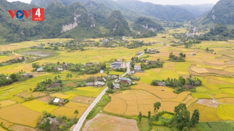 CAO BẰNG: TỞI SLỔNG CÚA PỈ NOỌNG VẰN HẲM TỐI MẤƯ NÈM PÀY PANG CHỎI HẾT KIN CÚA NẶM MƯỜNG