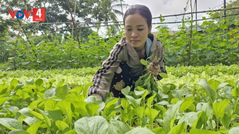 SLON NGHỂ HẨƯ PỈ NOỌNG DÚ BẠI BẢN PANG HẨƯ PỈ NOỌNG DÂN TỘC NỌI CẦN TẢ ĐẢY KHỎ