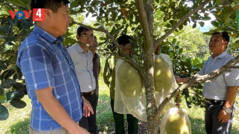 BH’RỢ CHÓH PA NÉH LÊỆ BHRÔNG ZOOI ĐHANUÔR DA DING K’COONG ZI LẤH ĐHA RỨT