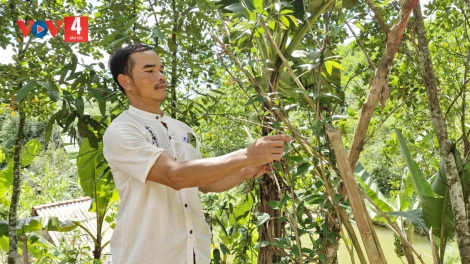 QUẢNG NAM ZOOI ĐHA NUÔR ACOON COH BHRỢ CHA TING C’BHUH CHR’NĂP PA CÂL