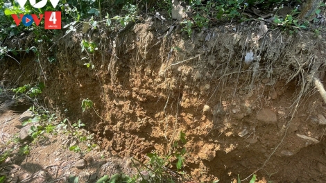 QUẢNG NGÃI: XAY P’CĂH ĐHR’NĂNG ĐƠƠH HÂN OOY RÂU CĂH LIÊM NĂC DA DING MANG KÀ MUỒNG CHOOM DƯR HR’CÂH