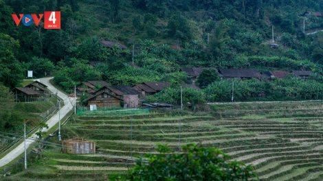 BẠI MÒN NẮM ĐÂY PỬA AU CĂN XẰNG ĐO PI DÚ CAO BẰNG