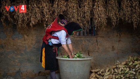 GIỌNG HÁT BÀ ĐÀM THU HÀ