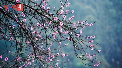 T'RUIH PA XƯL P'RA CƠ TU T'NGAY 29/12/2024