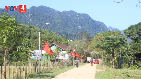 NGHỊ QUYẾT LƠI JỢ BUAH BIA