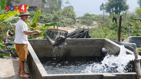 TÀNG HẾT KIN ĐÂY TỨ LIỆNG PJA NẶM CẮT