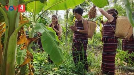 Lễ hội cúng Sayangva của người Chơ Ro