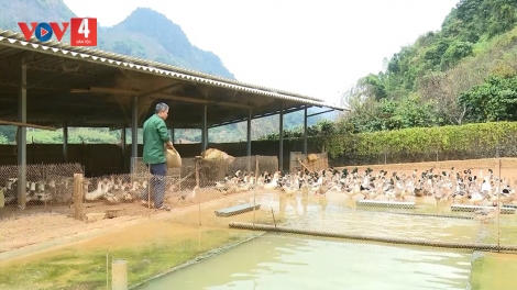 TÀNG DƯỞNG ĐĂM CHAY, KHUN LIỆNG SLÂƯ ĐÂY PANG HẨƯ PỈ NOỌNG DÚ SLẢNH SƠN LA HẾT KIN ĐẢY ĐÂY