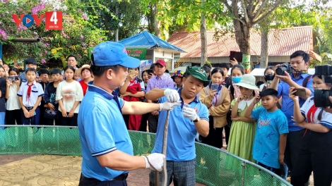 ឆ្នាំម្សាញ់ទៅទស្សនាកសិដ្ឋានពស់ ដុងតឹម ខេត្តទៀងយ៉ាង