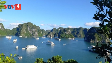 HẠ LONG (QUẢNG NINH) LỒNG LÈNG HẾT KIN NÈM TÀNG DƯỞNG SLÂƯ ĐÂY, HẾT KIN QUÁ TÀNG MẠNG, VẠ CÓ BẠI TÀNG HẾT KIN DÚ BÚNG ĐẢY CHỈN PỀN PÙ PHJA PÉ HẢI CÚA TẰNG TẨƯ FẠ