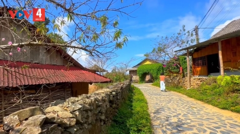 LỈN XUÂN DÚ BẢN RẲP KHÉC SÌ THÂU CHẢI