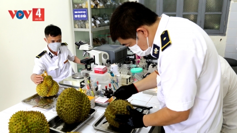 LẠNG SƠN CHẢO DƯỞNG NGẢI TẢI ẾT SLE KHAI MÁC SẦU RIÊNG PÂY NẶM MƯỜNG NOỎC