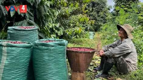 TÂY NGUYÊN HẾT KIN VẰN HẲM ĐÂY PJOM ĐĂM CHAY  VẠ TÀNG LUÔNG PÂY KHOÁI