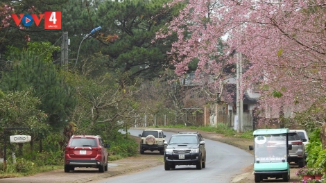 KON TUM RAU DƯR VAIH ĐƠƠH BHLÂNG COH ZR’LỤ TÂY NGUYÊN
