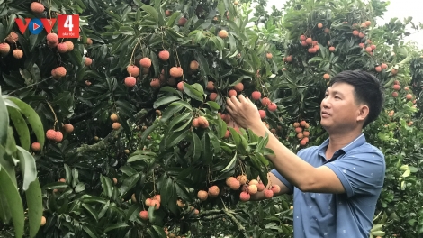 ĐĂM CHAY CÁP XÁU TỎN LẲP KHÉC CỌP FẤN TẲNG CÓ BẢN CỎN MẤƯ MẮN CHẮN