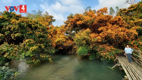 BÌNH ĐỊNH BHRỢ ZÂP TOUR DU LỊCH LÂNG TÀU HOẢ DOỌ PAY ZÊN BÊL T’NGAY BHIỆC BHAN GA MĂC