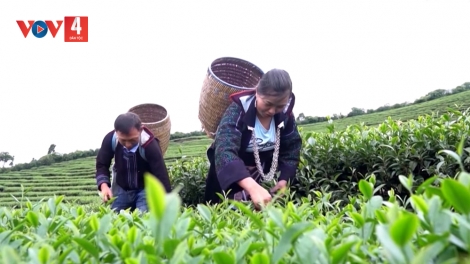 PỈ NOỌNG DÚ PIÊN CHÁI SLẢNH LAI CHÂU XO TẢ KHỎ